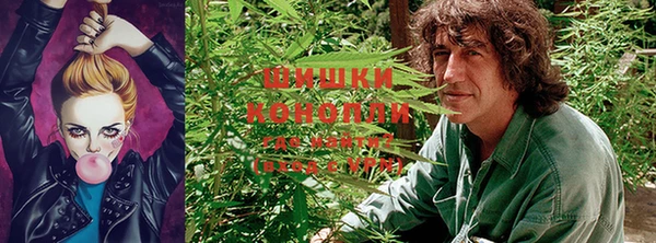 Альфа ПВП Медвежьегорск