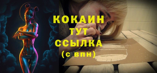 молекула духа Медногорск