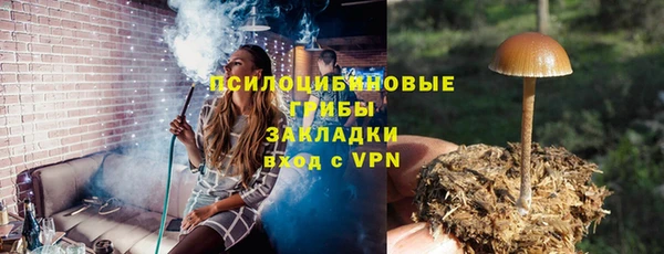 молекула духа Медногорск